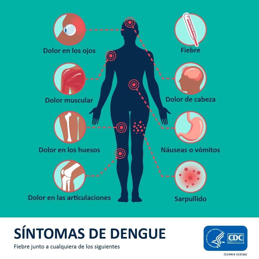 Sintomas de um⁤ relógio com ponteiros‌ soltos